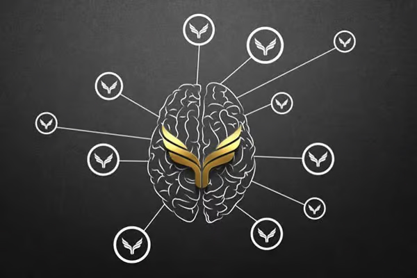 TitanOS Playbook